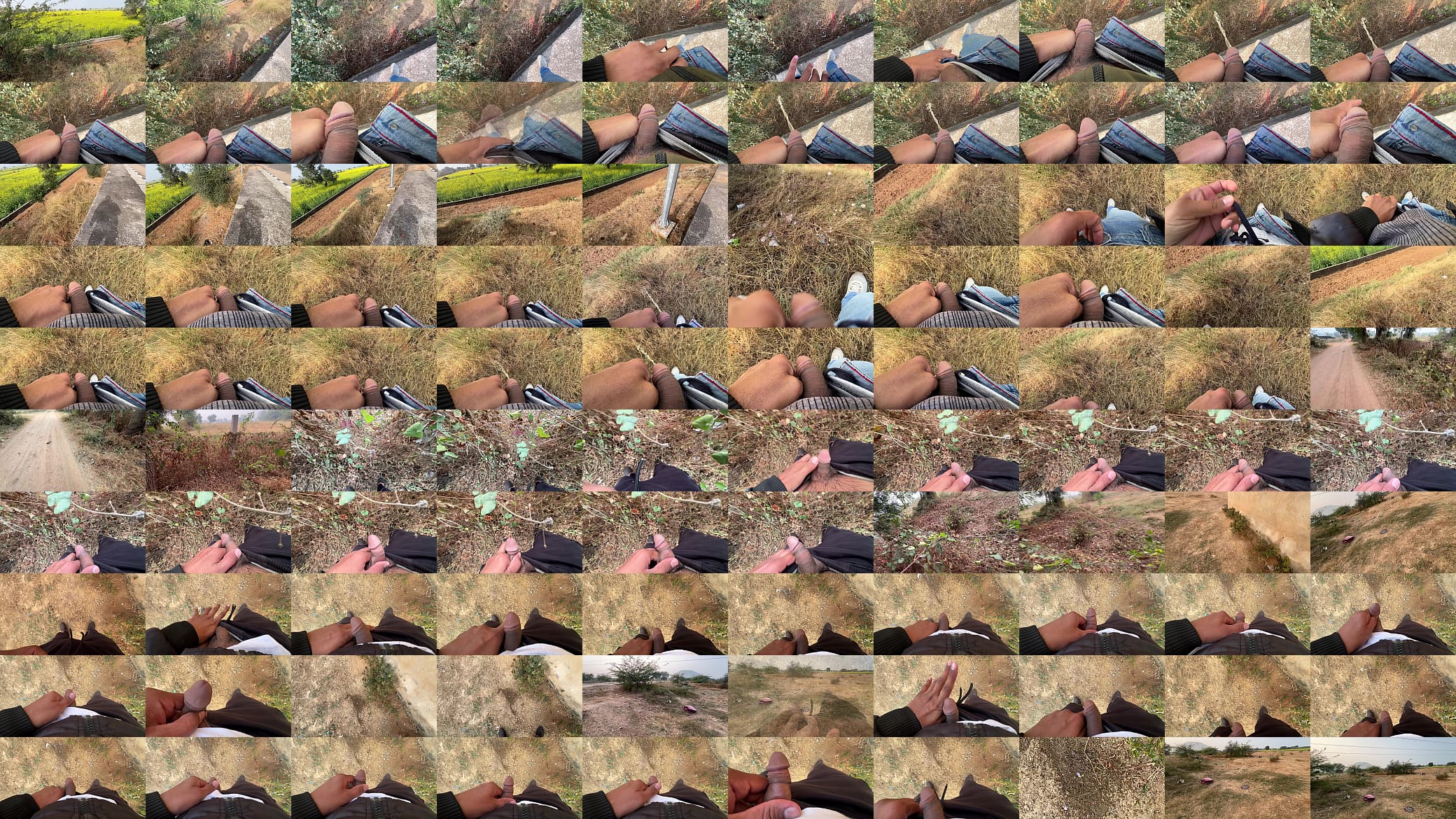 Pissing in open fields 预览图