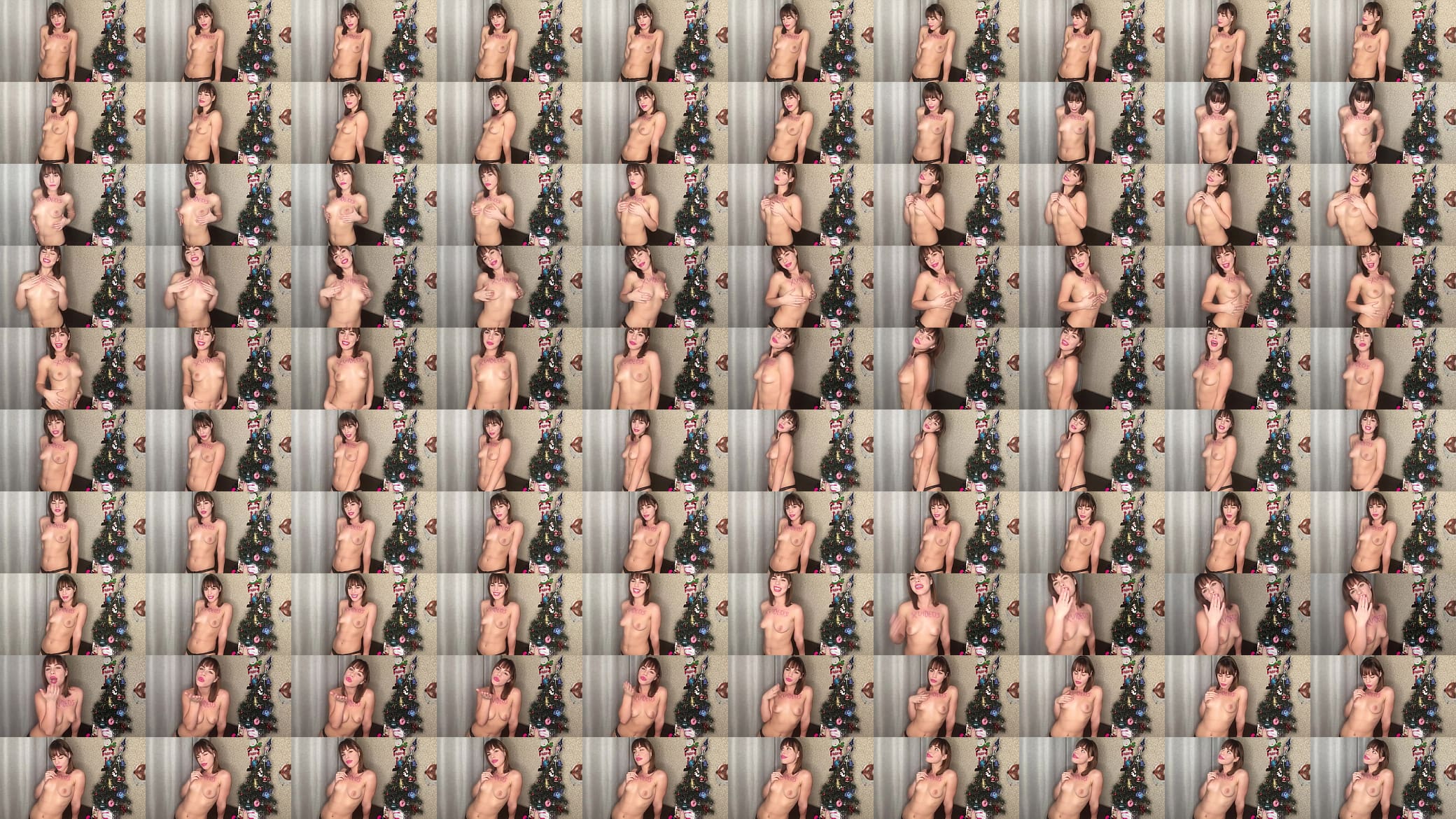 Verification video 预览图