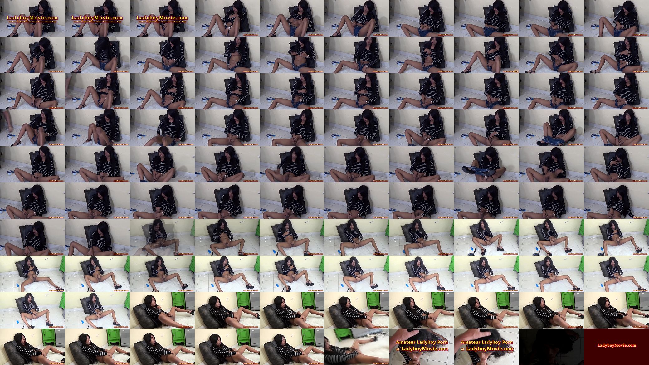 Ladyboy Adriana Jerks Off On The Floor 预览图