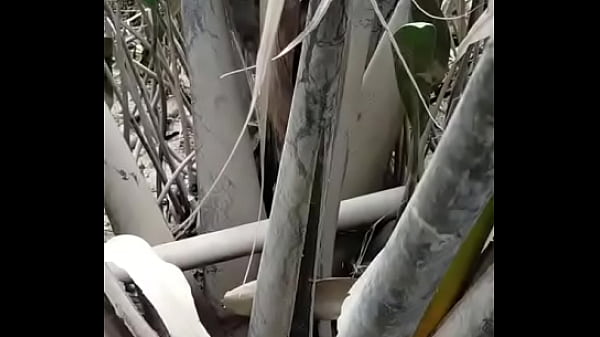 Video x&aacute;c minh