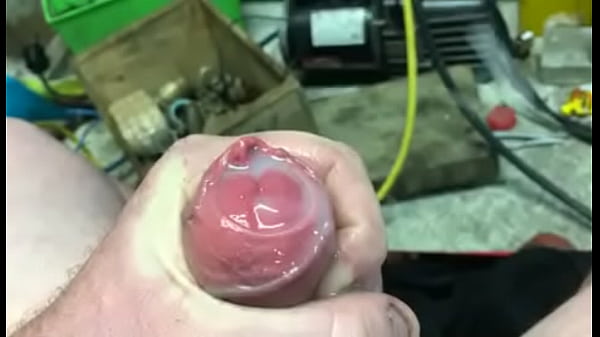 Caressant Coq Nz Male Nouvelle Zélande Premium