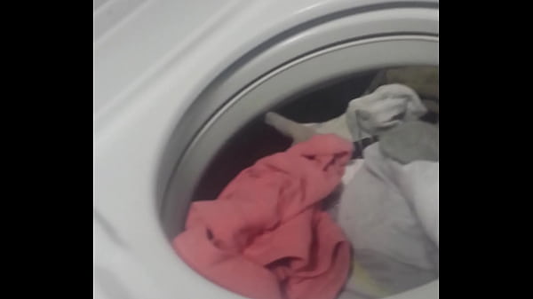In the apartment laundry room beating my dick &...