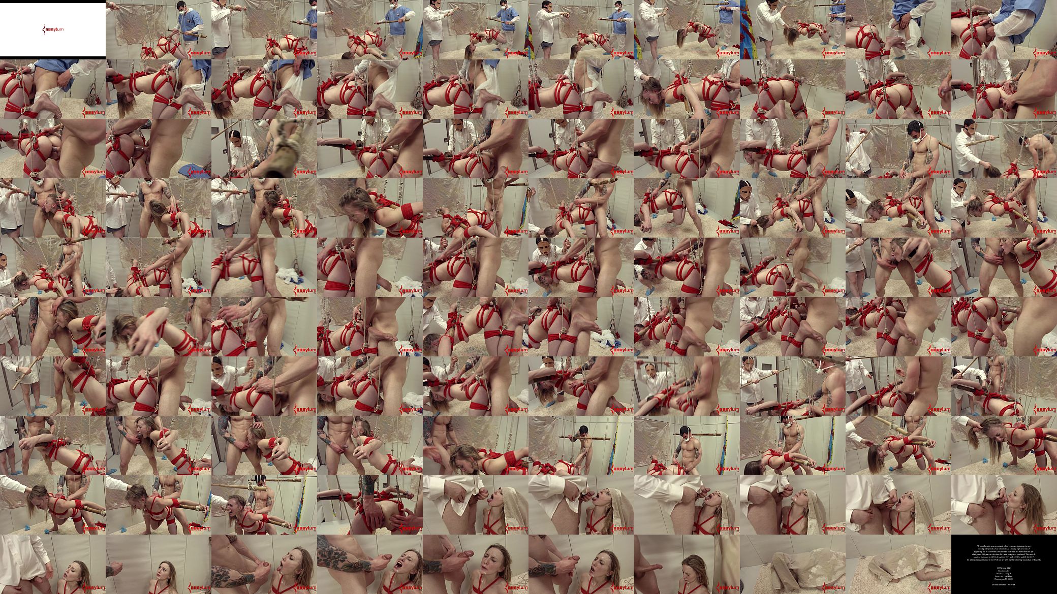 Blond Pawg Riley Rey is ass fucked roughly in a suspension by two sadistic masters at the mental hospital 预览图