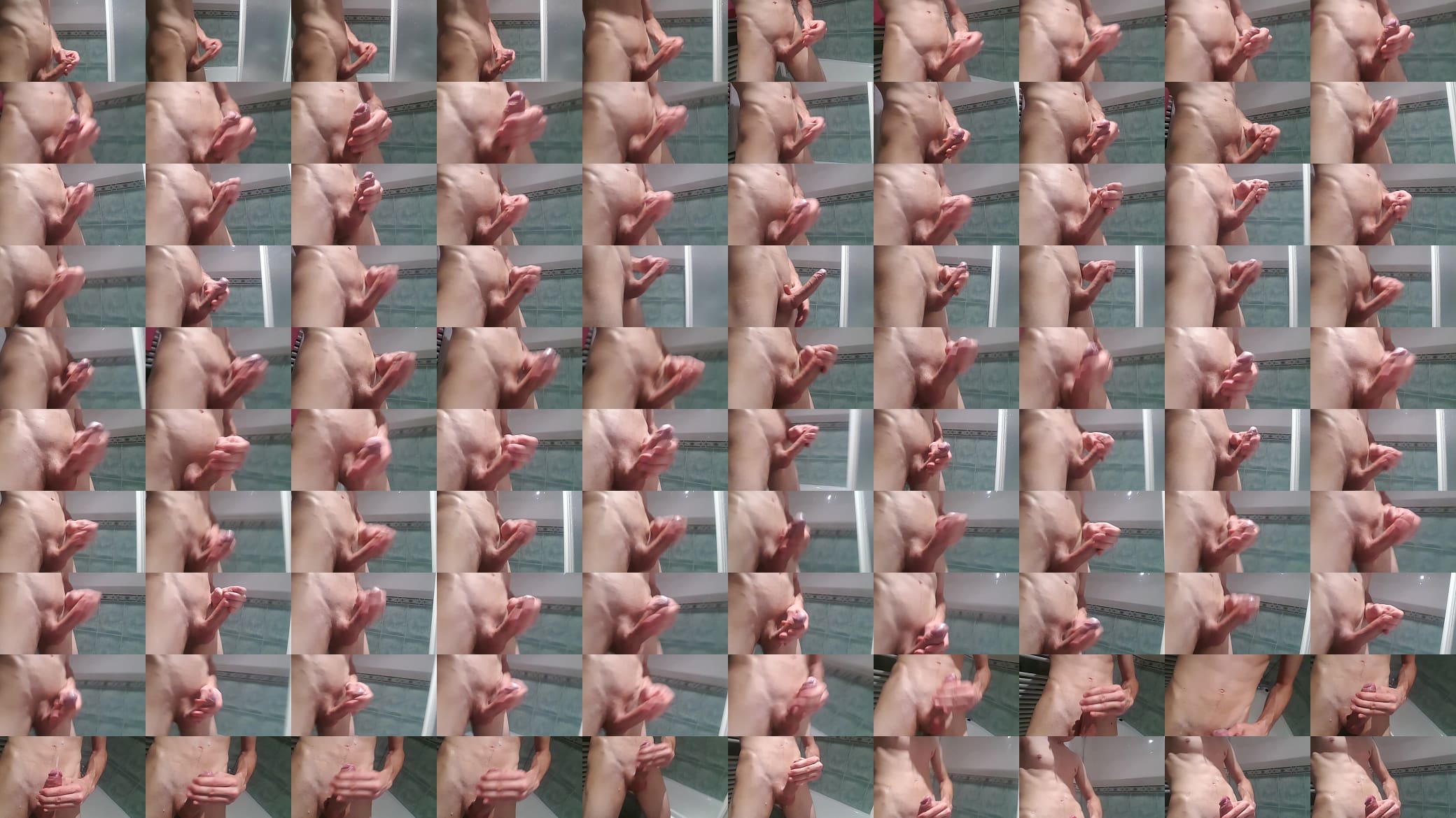 Paja adrinca 预览图