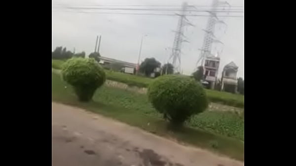 Video xác minh