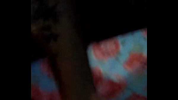 cock in the dog