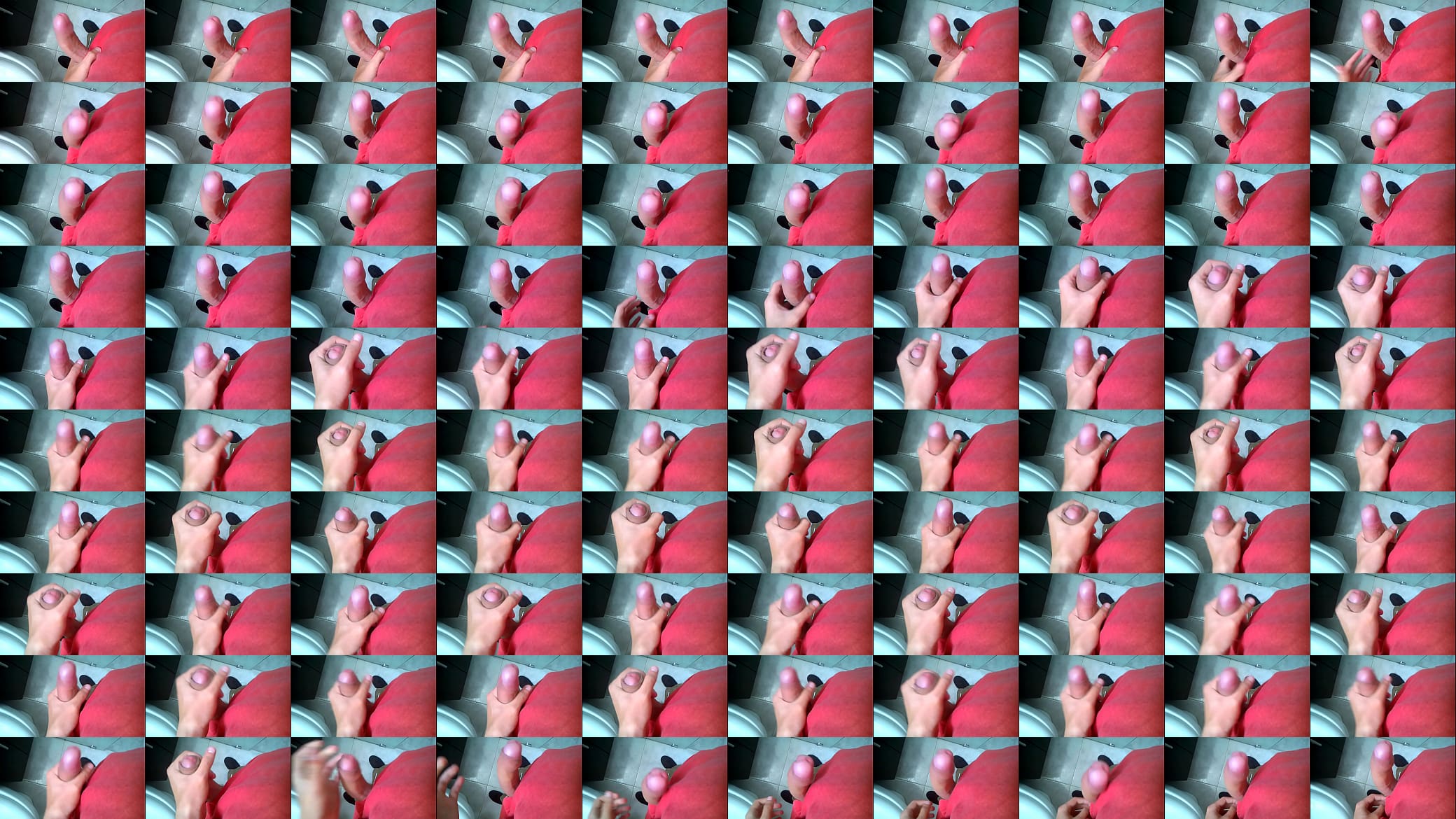 Mi verga 预览图