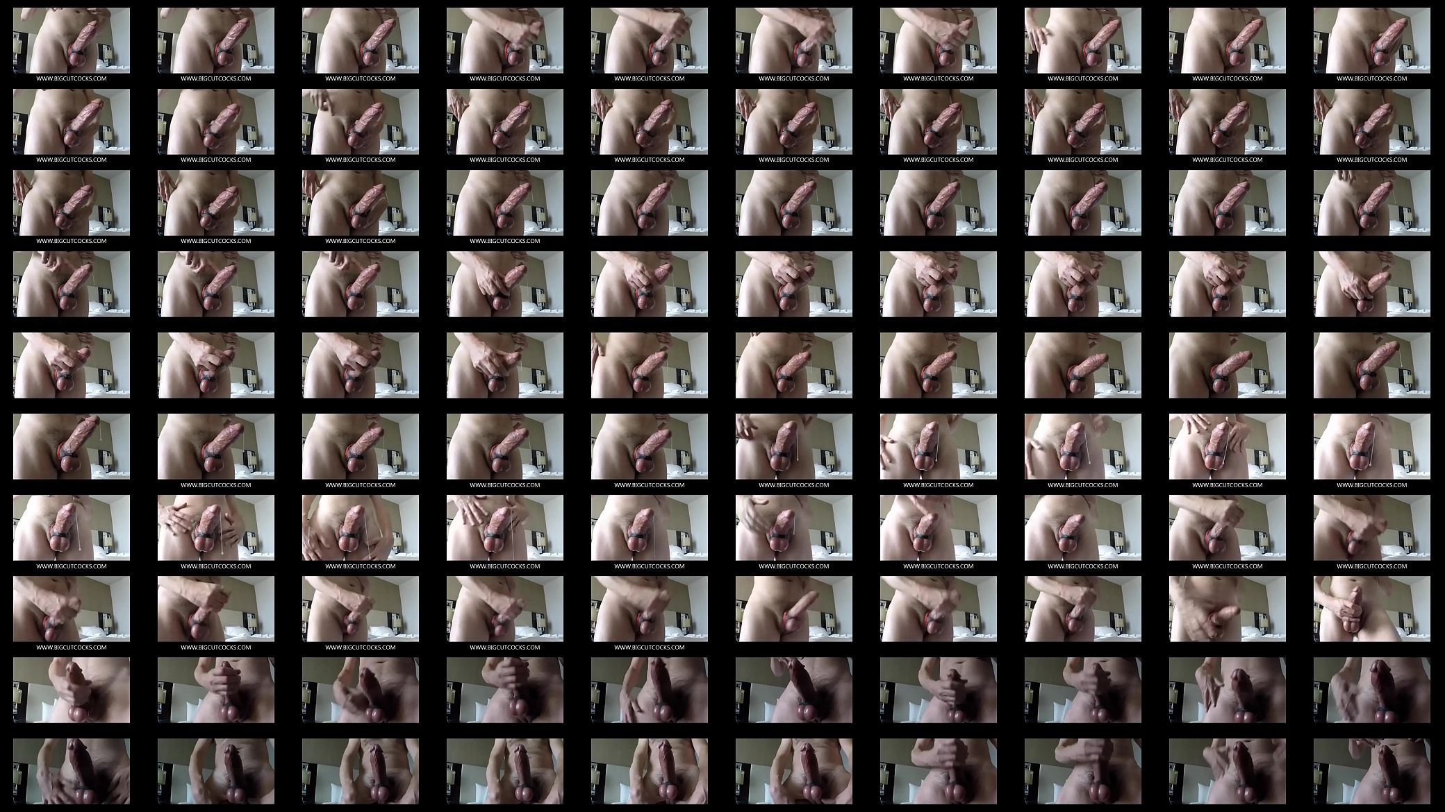 Verification video 预览图