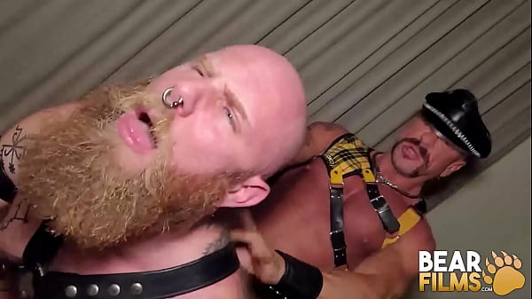 Download Video - BEARFILMS Muscular Bear Darek Kraft Barebacks Ginger Fellball