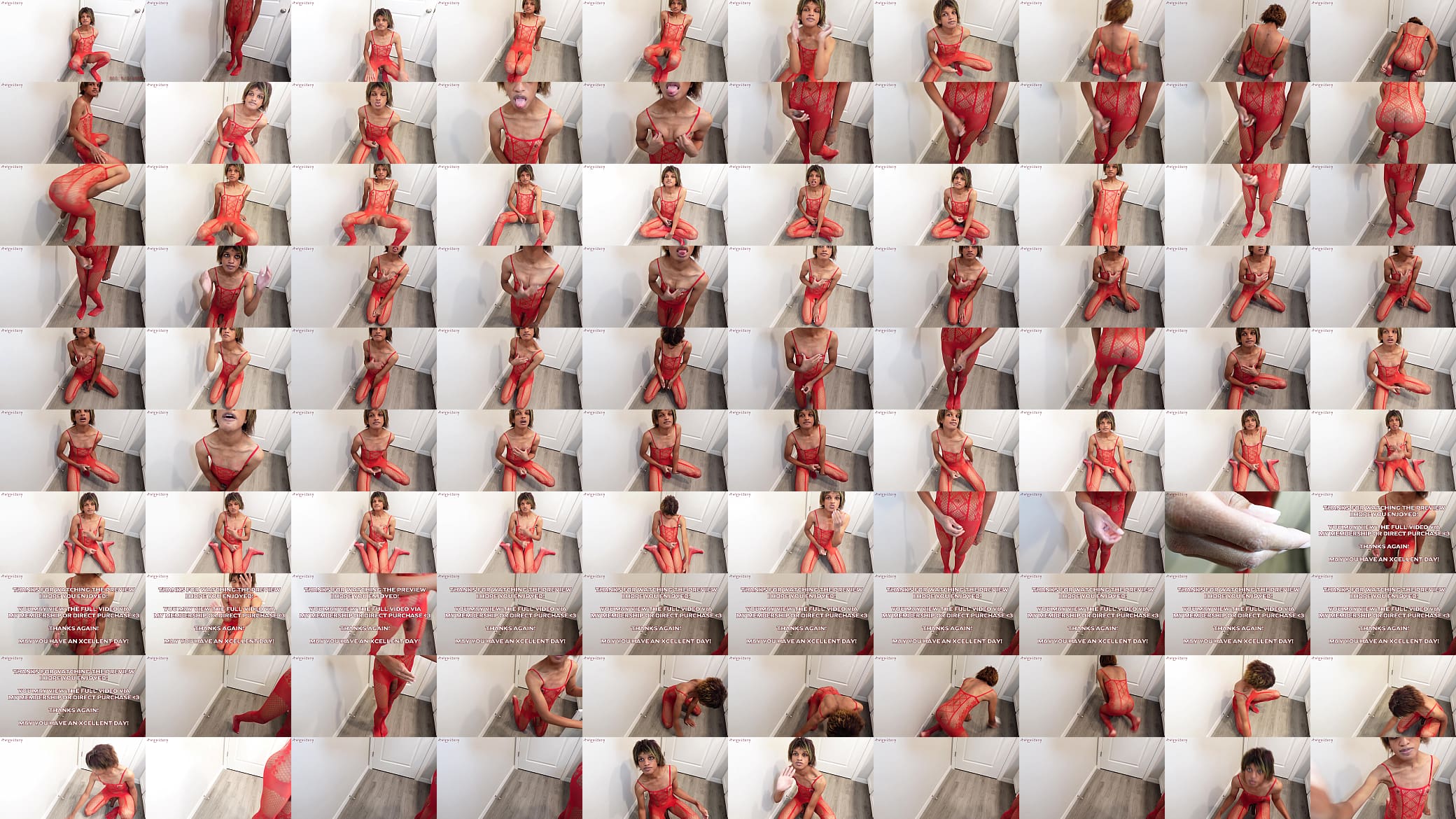Exotic Trans Girl Puts on an Erotic Show in Fishnets Body Stockings - Preview 预览图