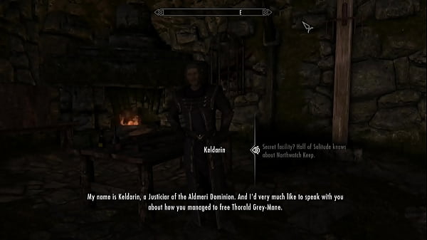 Captured By The Thalmor: Skyrim Sexlab Mod