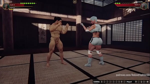 Conan VS Broadzilla (Naked Fighter 3D)