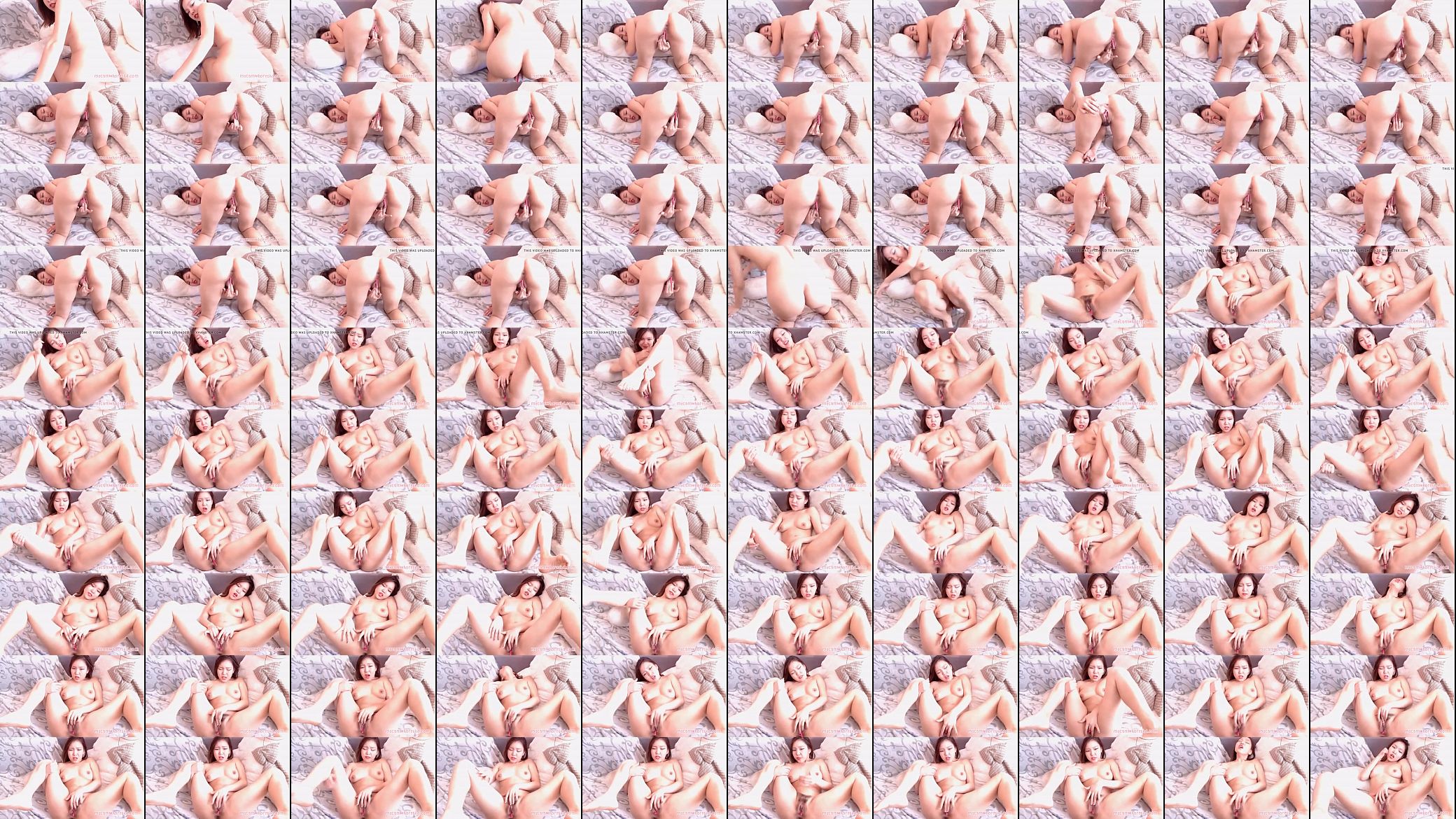 Hot Asian Camwhore Masturbating 预览图
