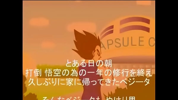 DBZ VEGETA X BULMA (NEW)