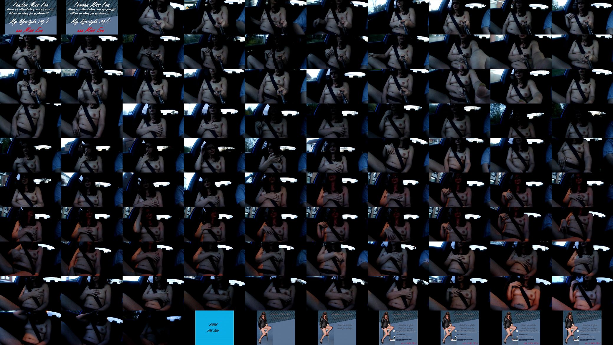 The naked passenger (1) 预览图