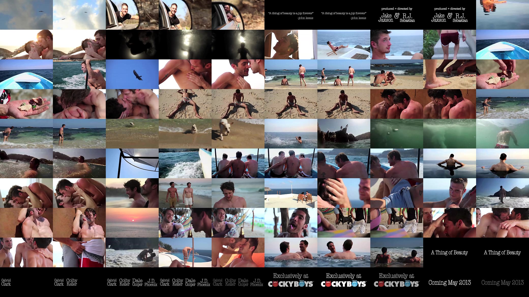 A Thing of Beauty Series Trailer 预览图