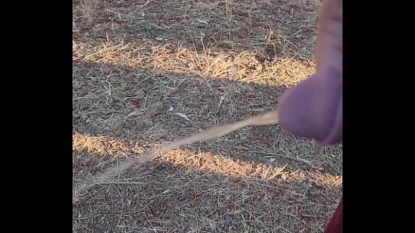 Morning piss in the homestead