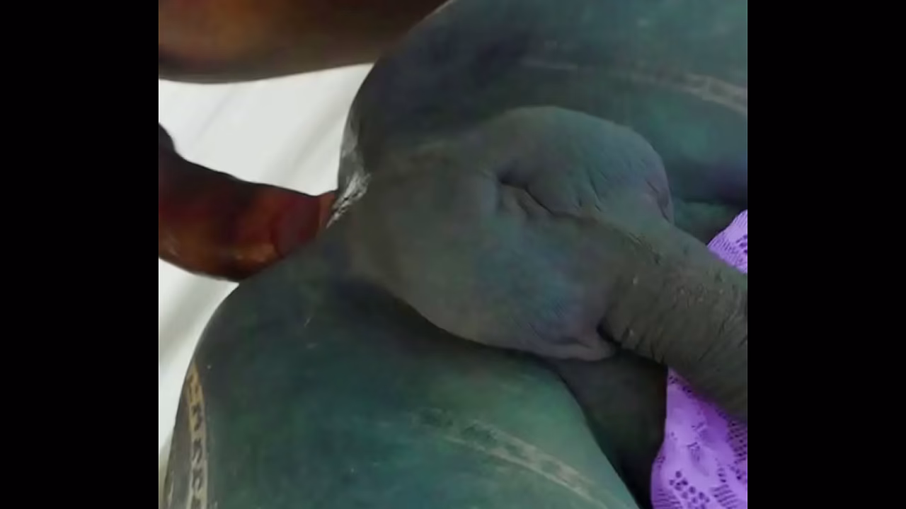 Trío POV TRANS - Mazhem y Josh, tatuados
                    anal european interracial tattoo threesome shemale ass to mouth trans goth piercings transgender punk bbc alternative hardcoret alt porn pussy piercings muchos negros