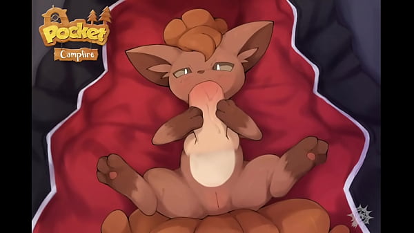 Toutes Les Animations De Pocket Campfire (Pas De Futa)