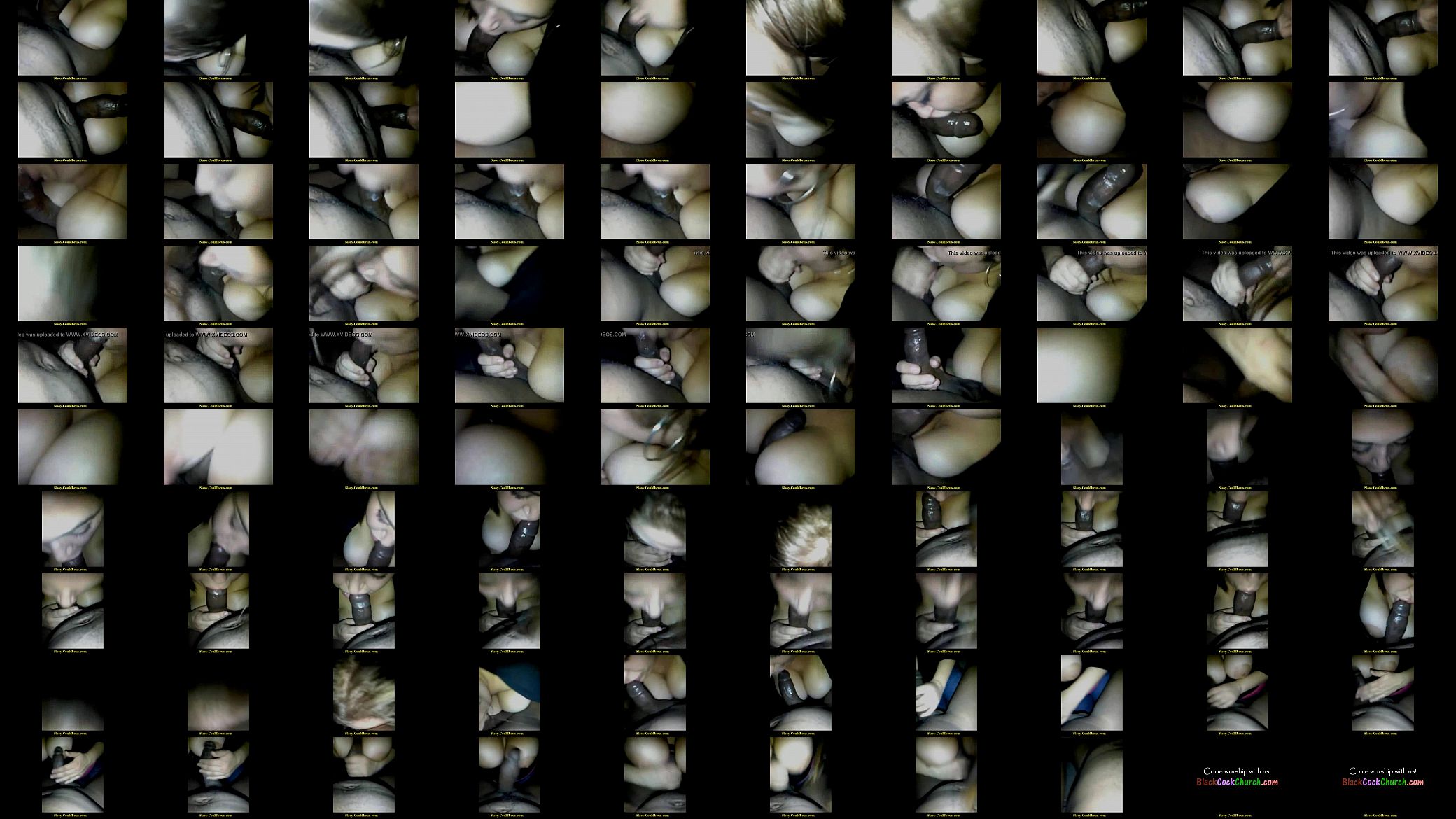fromsp chocolate dick and white titties 预览图