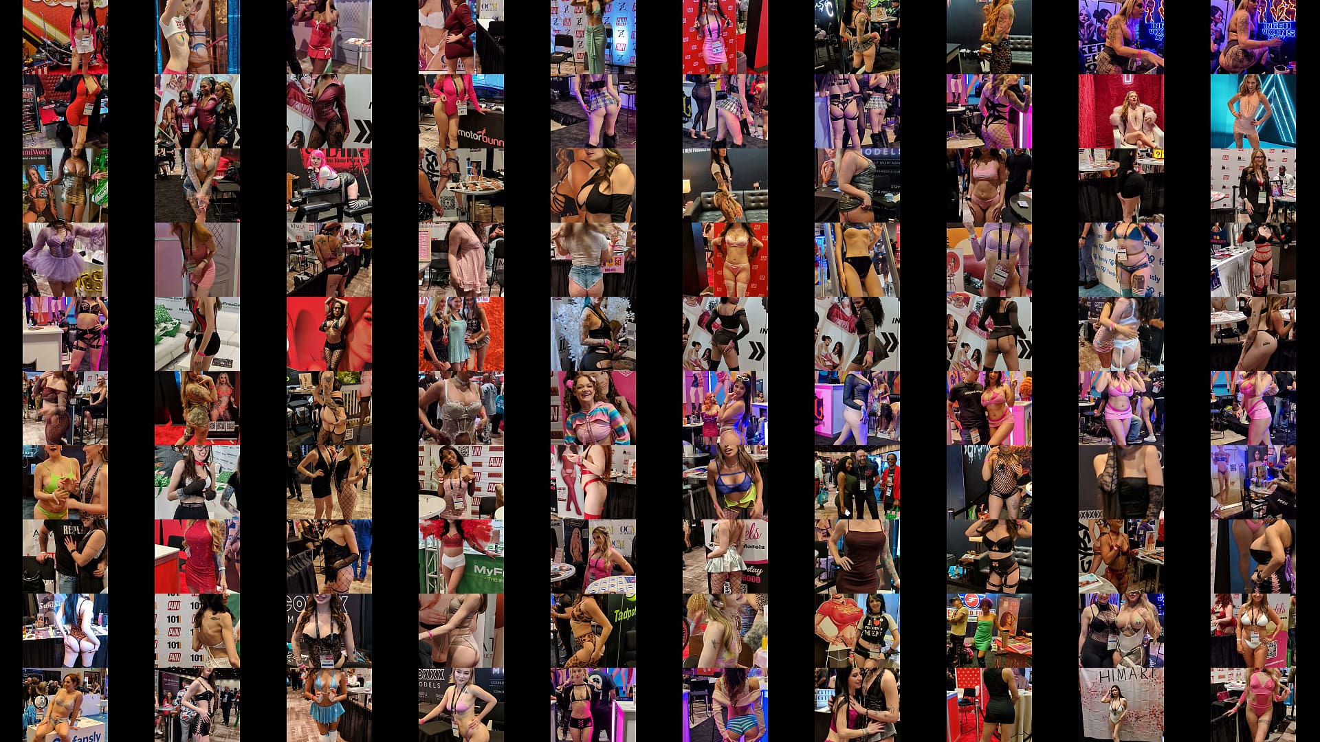 2026 AVN Adult Entertainment Expo 预览图