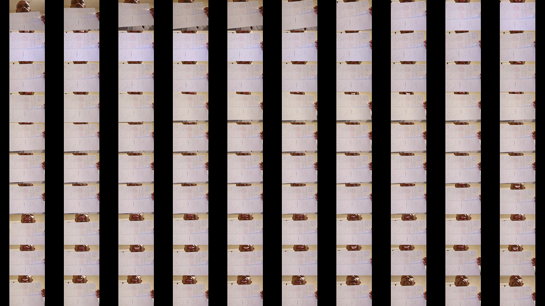 Verification video 预览图