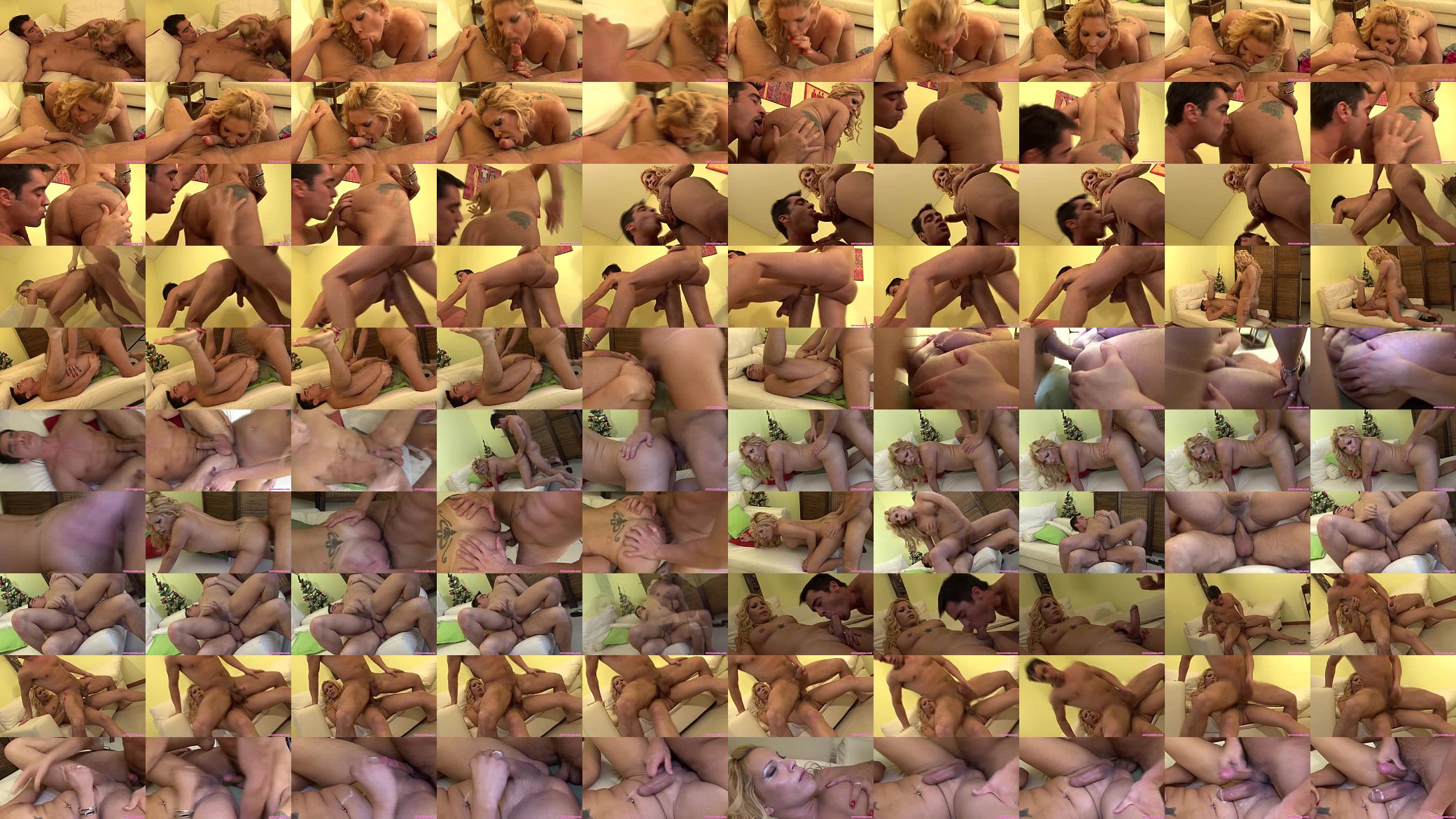 Naughty blonde shemale in bareback fun 预览图