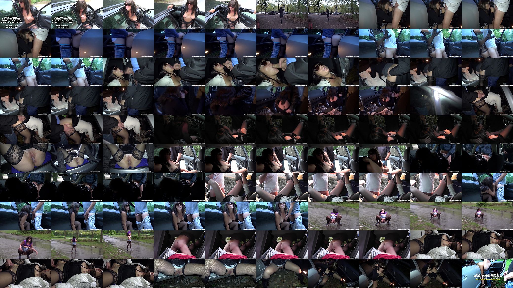 Dogging wife fucked by many strangers in her car 预览图