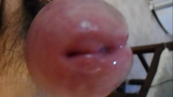 Pija madura dura y con la cabeza muy inchada