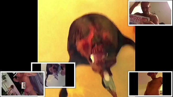 Sim sim sala bim - fuck cum jizz Gully Wompzzz...