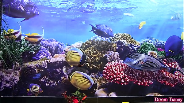 Hot and Sexy Tgirl Marcelle Herrera Fucks a Rubber Cock