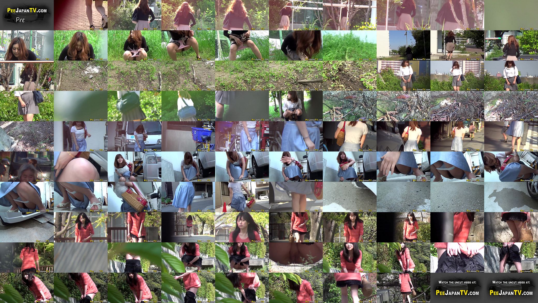 Squatting japanese babes 预览图
