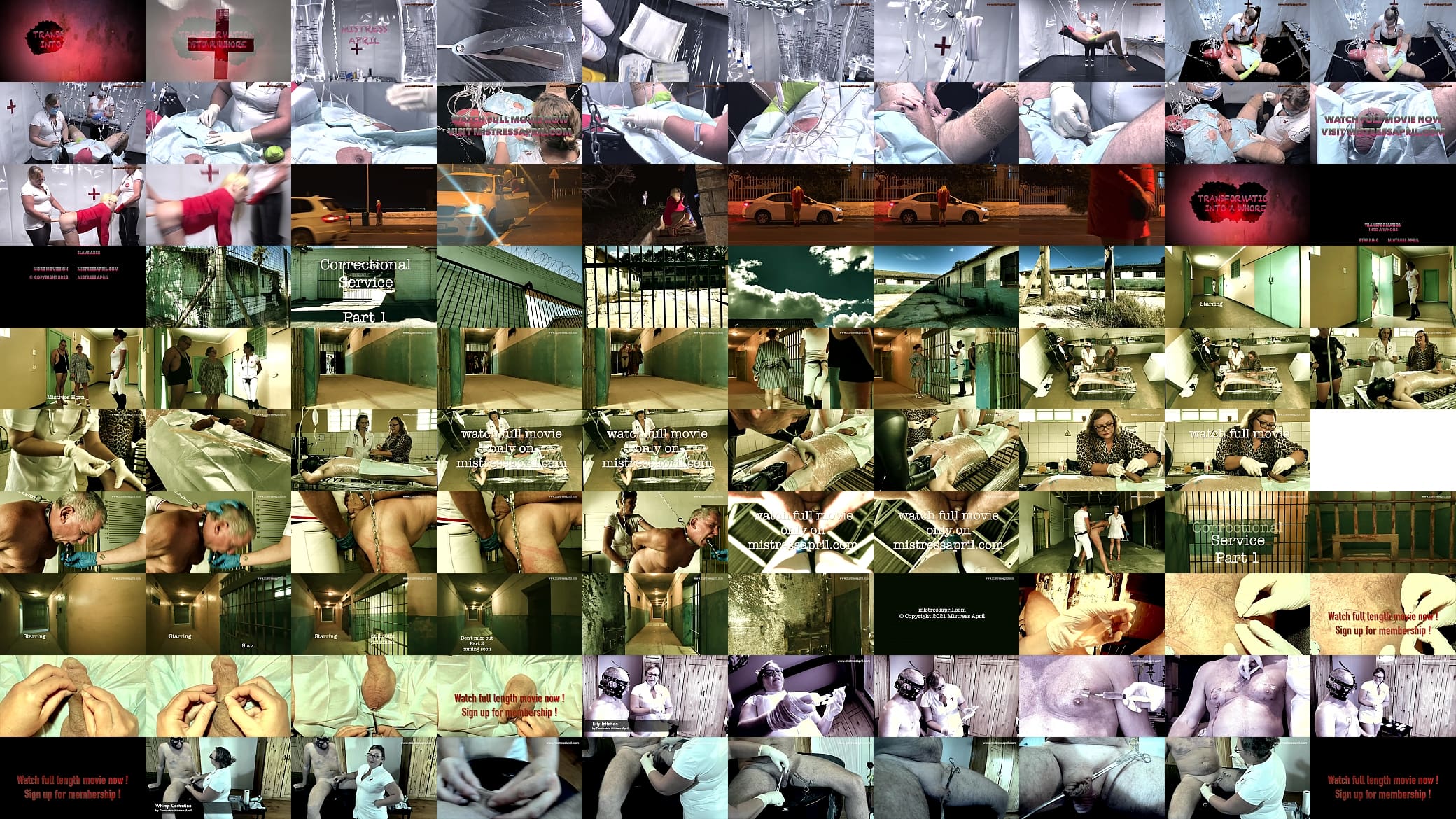 Dominatrix Mistress April - Surgical medical Transformation into a whore 预览图