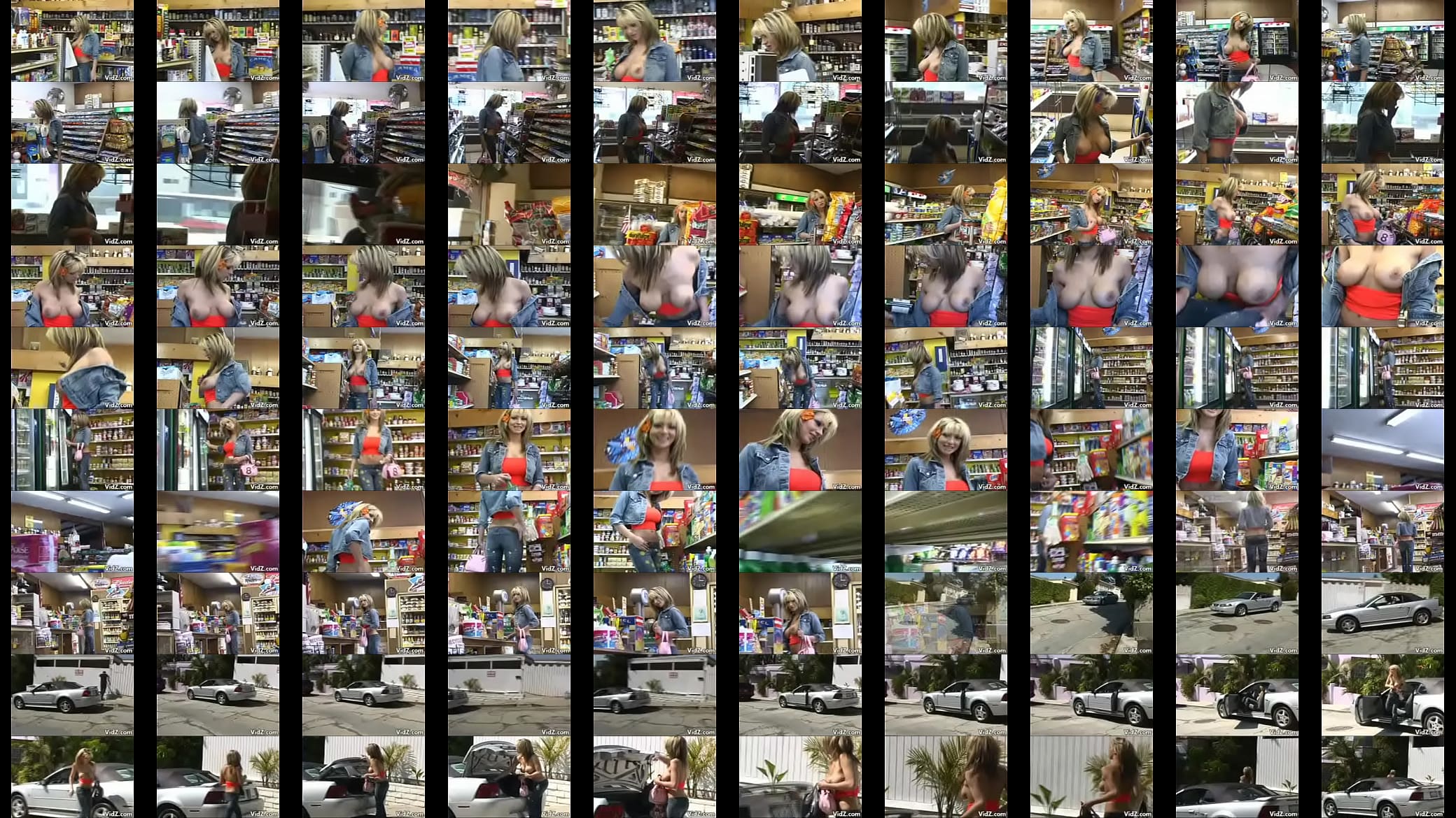 PublicFlashers scene4 预览图