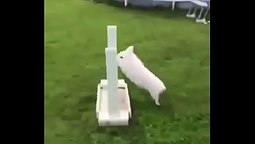 Bunny jumping in a cinematic way