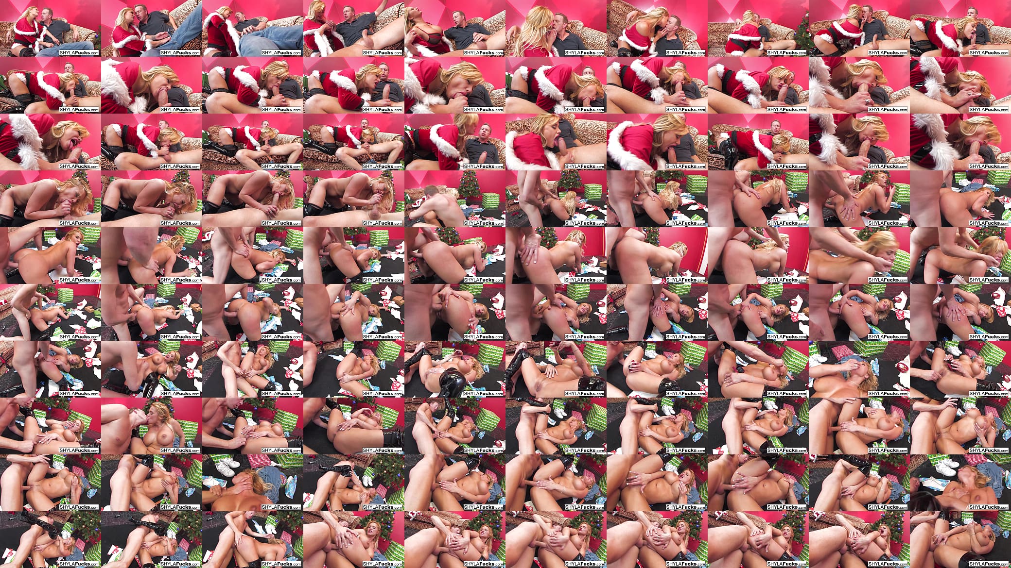 Sexy Shyla Stylez&#039;s Xmas Creampie 预览图