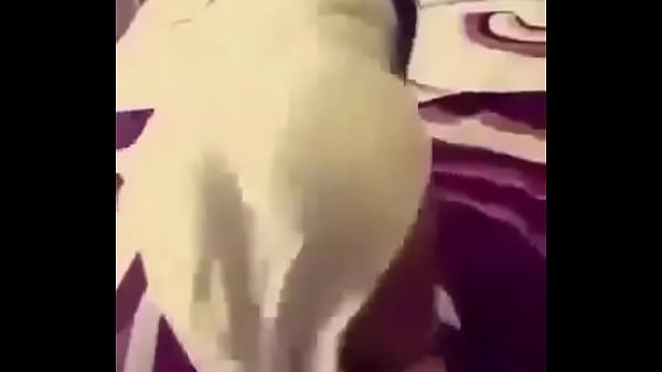 thumb dddertyk