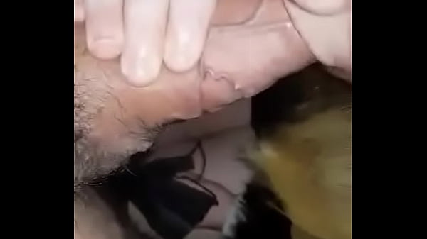 Huge wooden Dildo FUCK n Tons of CUM on legs