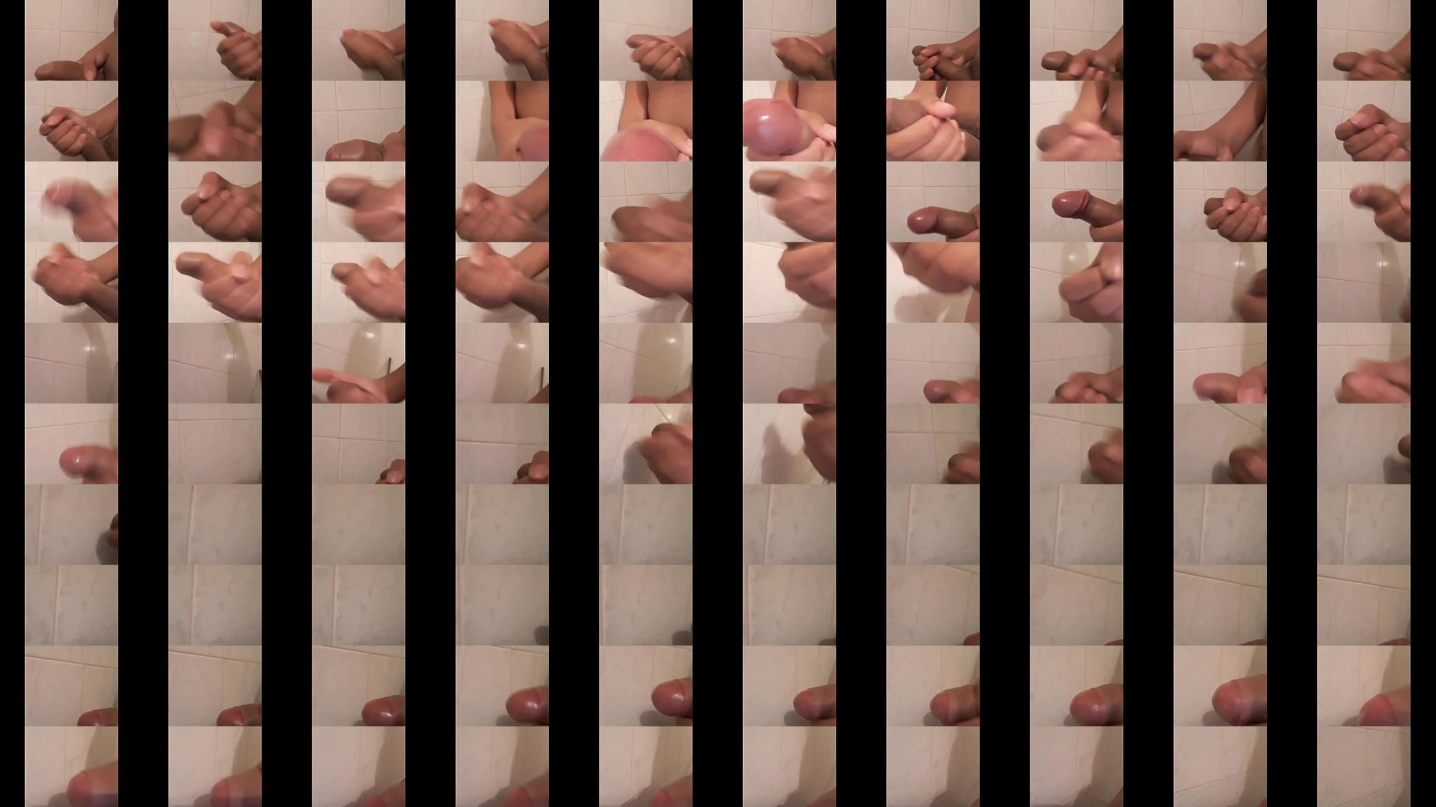 Paja rapida 预览图