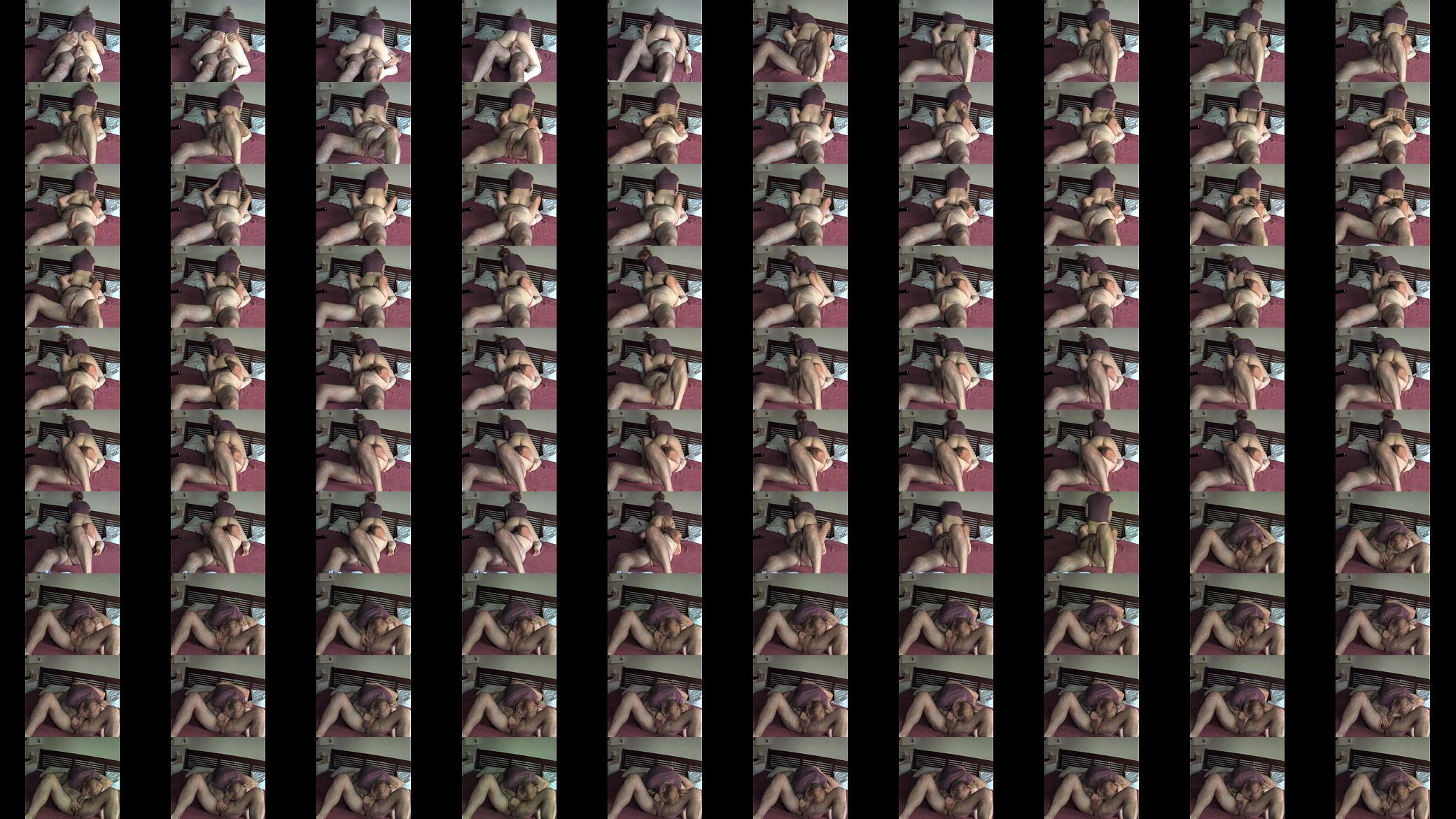 lizane 2014g 预览图
