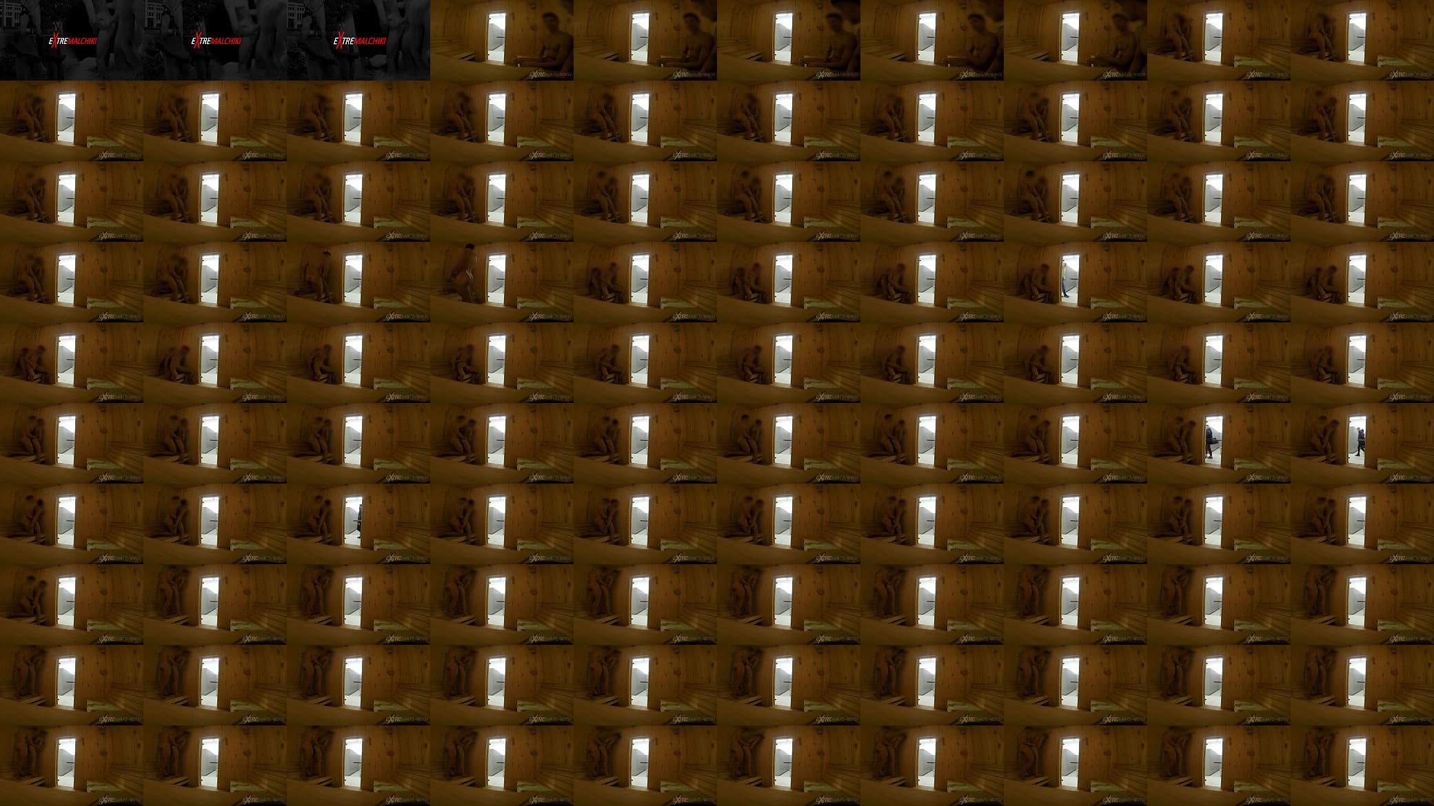 Sauna masterpease 预览图