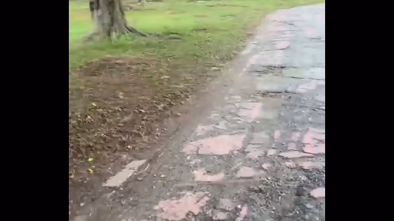 Pega&ccedil_ao gostosa no mato /Hot make-out session in the woods