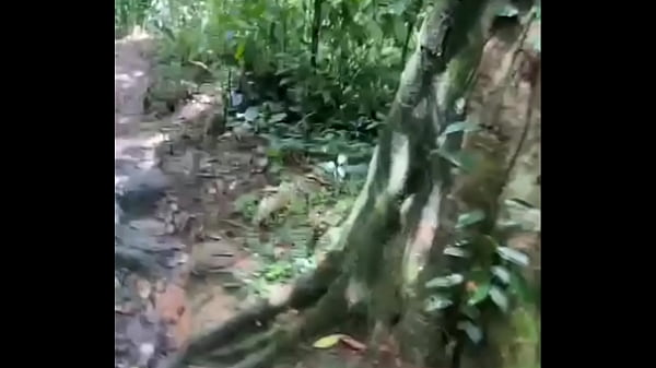 I took my friends to the woods