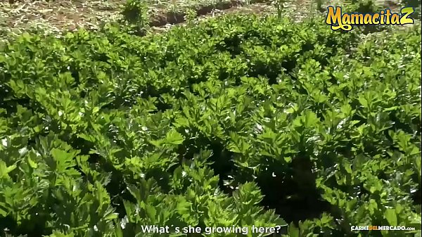 Download Video - CARNE DEL MERCADO - &num;Andreina De Luxe &num;Logan Salamanca - Big Booty Latina Teen Wants To Be A Pornstar