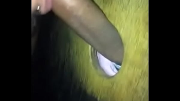 Download Video - cabine pau do neg&atilde;o