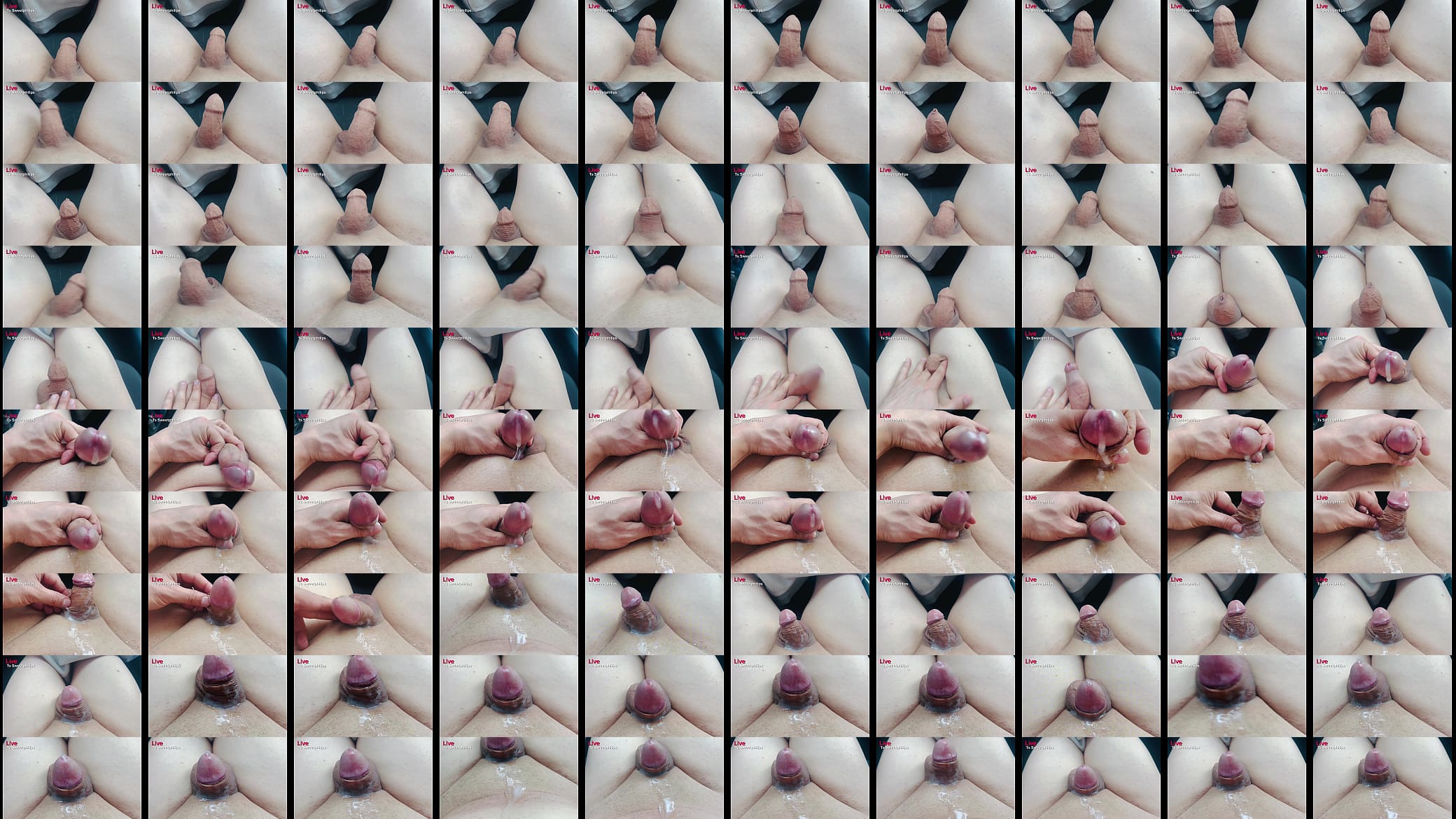 Ts Sweetphilips With sweet cum inside the plane 预览图