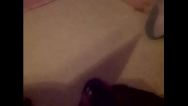  Gay Black Bear Watching Gay Porn 3GP