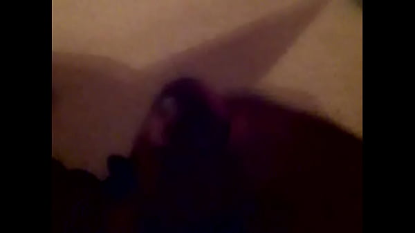 gay black bear watching gay porn gp 