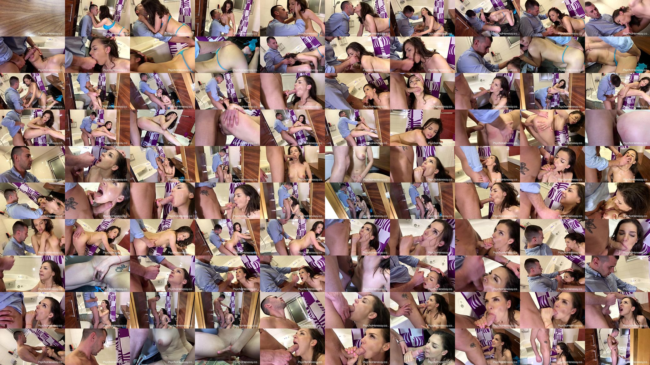 Fucked in the bathroom 预览图