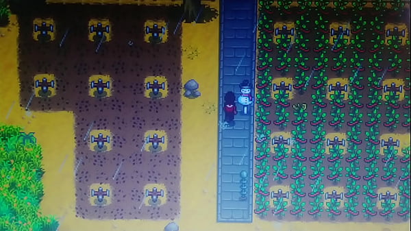 Tour pela minha fazenda no stardew valley